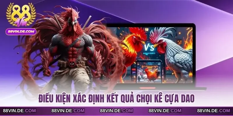 Điều kiện xác định kết quả chọi kê cựa dao