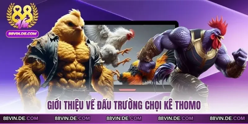 Giới thiệu về đấu trường chọi kê Thomo