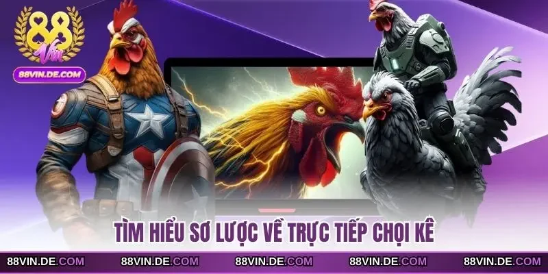 Tìm hiểu sơ lược về trực tiếp chọi kê